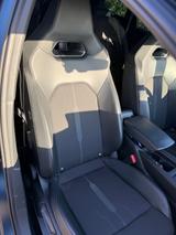 Cupra Leon 2.0 TSI 310PS 4Drive DSG- Blau Matt - blaue Cupra Leon