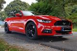 Ford Mustang 5.0 Ti-VCT V8 GT auto GT - Ford Mustang mit Benzin-Antrieb: Cabrio, 5.0