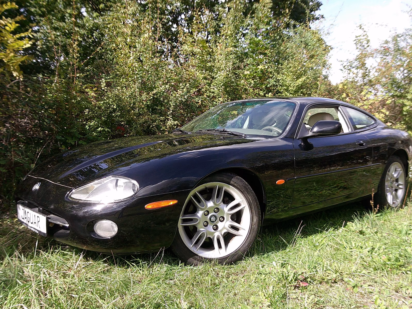Jaguar XK8 Coupe- der perfekte schwarze Kater !