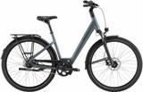 Pegasus Strong SL 8 L - Pegasus E-Bikes