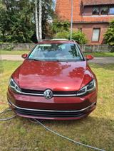 Volkswagen VW Golf 7 Variant 1.6 TDI DSG | BJ 2019 | Panora - Volkswagen Golf: Bj