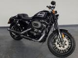Harley-Davidson Roadster XL1200CX Sportster - HARLEY-DAVIDSON ROADSTER
