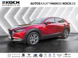 Mazda CX-30 2,5 e-SKYACTIV-G140 MHybrid Exclusive-Line - Mazda CX-30 aus 2024