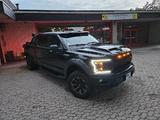 Ford FORD F-150 5.0 V8 | US-Pickup mit Charakter - Ford F 150: Geländewagen