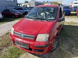 Fiat Panda 1.2 8V Dynamic Klima - gebrauchte Fiat Panda aus dem Jahr 2007