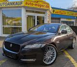 Jaguar XF 3.0d Portfolio*360°HUD*PANO*Virtual*Beige*DAB - Jaguar aus 2017
