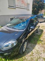 Fiat Punto Evo 1.4i 8V - Fiat Punto Evo aus 2012