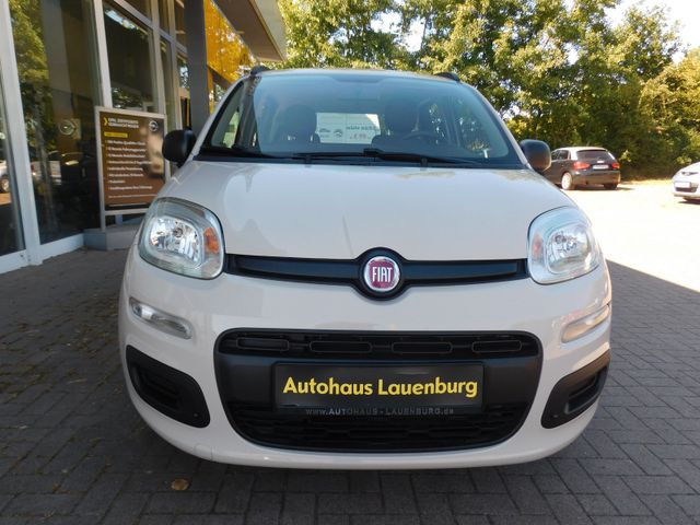 Foto: FIAT Panda +KLIMA (Fahrzeug-Nummer 430018124)