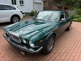 Jaguar XJ12, Daimler, Double-Six, H.E. - Jaguar XJ12 Gebrauchtwagen
