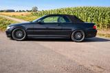 BMW E46 Cabrio 330i  6 Zylinder, SMG II, TUV Neu - BMW 330 aus 2004: 330i