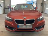 BMW 218i Coupe Advantage COUPE Aut. LED NAVI LEDER - BMW: Orange