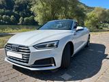 Audi A5 Cabriolet 35 TDI S tronic S li - Audi Cabriolet mit Diesel-Antrieb