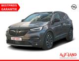 Opel Grandland 2.0 CDTI Ultimate Totwinkel AHK DAB - Opel Grandland (X) in Magdeburg