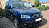 Volkswagen Caddy Maxi 2.0 TDI - 7-Sitz/Standheiz./1. Hd/AHK - Volkswagen Caddy Maxi aus 2008