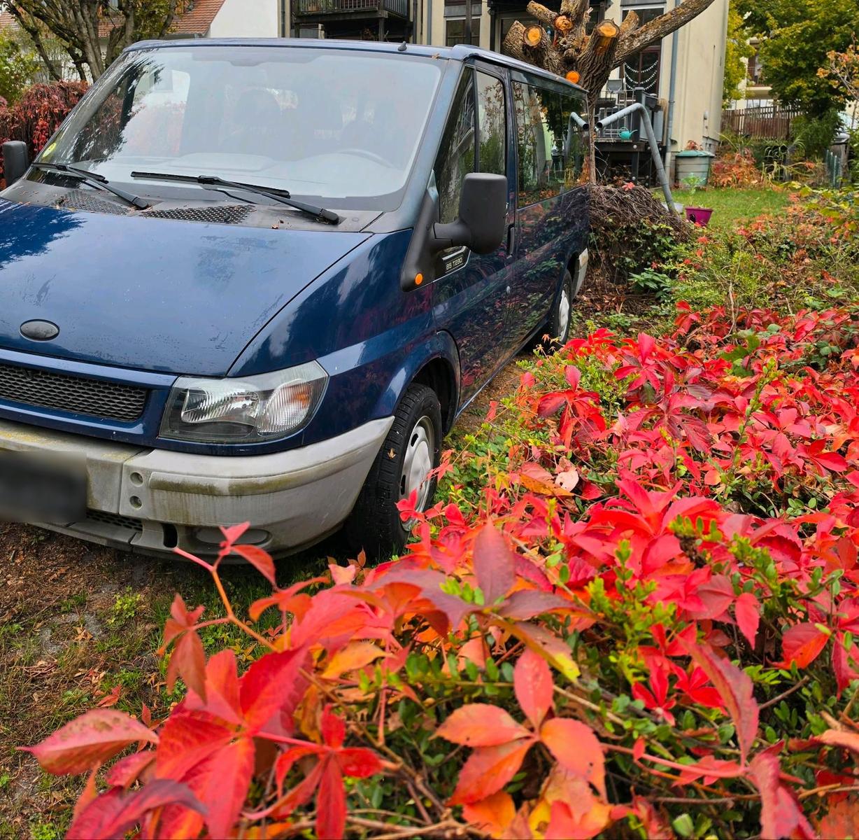 Ford Tourneo