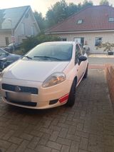Fiat Punto - Fiat Punto mit Diesel-Antrieb: Limousine