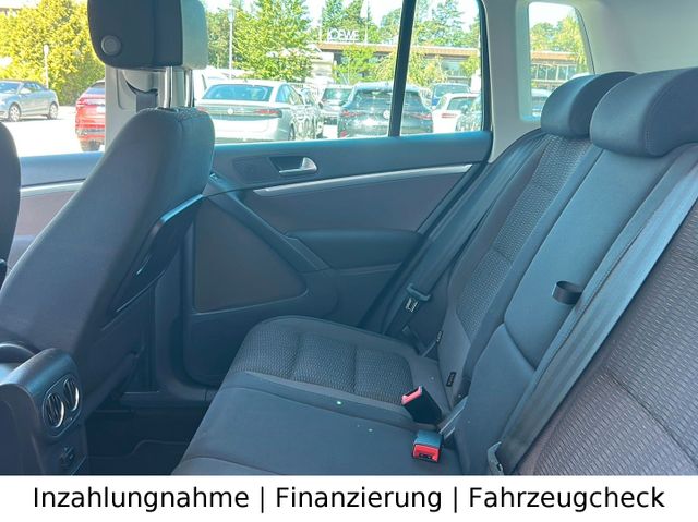 Bild 19