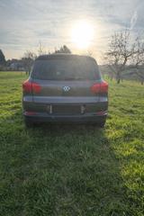 Volkswagen Tiguan 1.4 TSI 90 BlueMot Tec CUP Sport & St... - Volkswagen: 1.9