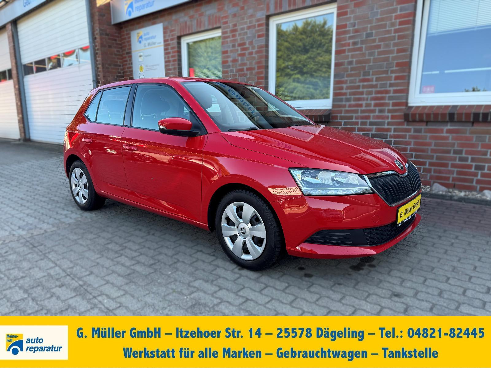 Skoda Fabia   KLIMA SHZ DAB+ BLUETOOTH