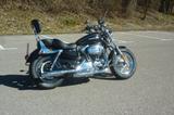 Harley-Davidson XL 1200 C Sportster - Offers matching your search criteria