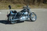 Harley-Davidson XL 1200 C Sportster