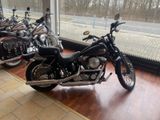 Harley-Davidson Bad Boy FXSTSB - Offers matching your search criteria