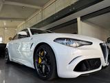 Alfa Romeo Giulia Quadrifoglio /Keramik/H&K/SHZ/ACC/Carplay - Alfa Romeo Giulia in Hannover