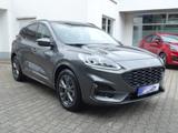Ford Kuga FHEV ST-Line X ACC LED Kamera Navi KeyFree
