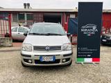 Fiat Panda 1.2 Alessi - Fiat Panda: Alessi
