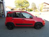 Fiat Panda  -Original Fiat LPG- Klima 1.Hand - Fiat Panda mit LPG-Antrieb