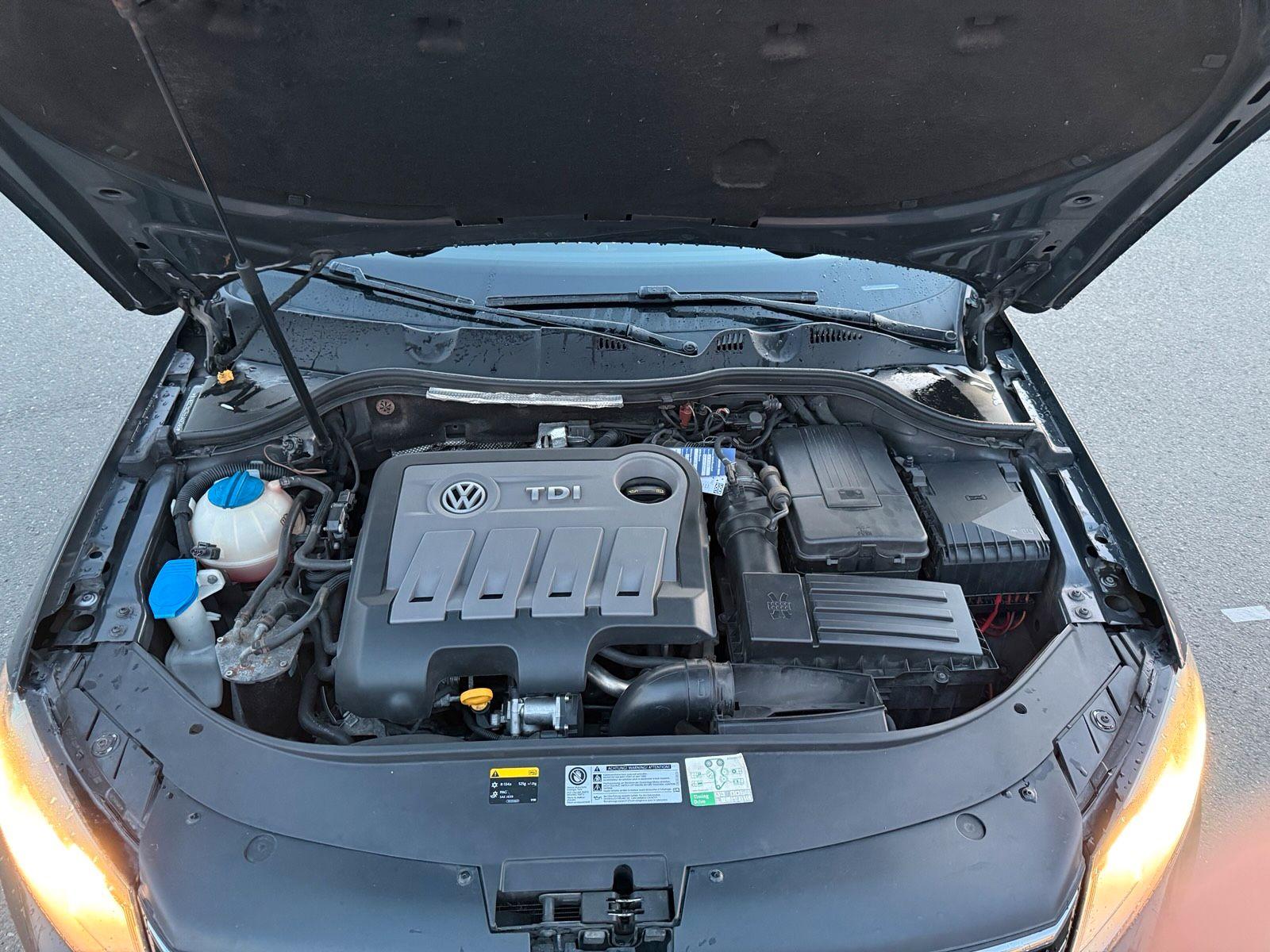 Volkswagen  2014 — rear view