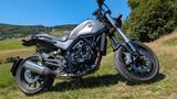 Benelli Leoncino 500 - BENELLI LEONCINO 500