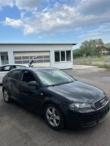 Audi A3 2.0 FSI 150tkm  - Audi A3 aus 2004: 2.0