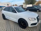 Audi Q5 Quattro s line Sport Edition Plus - Audi Q5 Gebrauchtwagen in Bielefeld