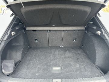 Cupra Terramar - 10