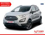 Ford EcoSport 1.0 Titanium Kamera Navi Sitzheizung - silberne Ford EcoSport
