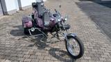 Andere Easy Trike - BENZIN TRIKE
