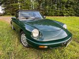 Alfa Romeo Alfa Spider 115.  2.0L 120ps Liebhaber Wen... - Alfa Romeo aus 1992