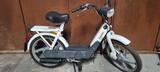 Piaggio Ciao - PIAGGIO CIAO