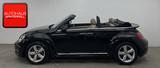 Volkswagen Beetle Cabriolet 2.0 TSI SPORT BI-XENON+NAVI+ - VW Beetle Gebrauchtwagen in Berlin
