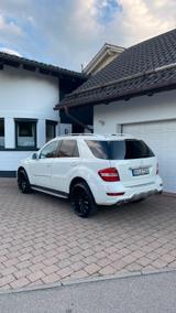 Mercedes-Benz ML 420 CDI 4MATIC - AMG Paket Pano Harman Kardon - Mercedes-Benz ML 420 mit Diesel-Antrieb