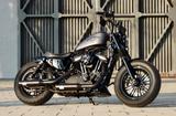 Harley-Davidson Sportster Forty Eight XL1200x 5HD1 Euro4