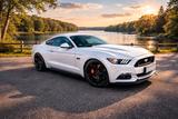 Ford Mustang 5.0 Ti-VCT V8 Black Shadow Edition B... - Ford Mustang Gebrauchtwagen in Düsseldorf