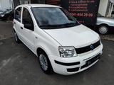 Fiat Panda 1.1 8V Active-2.HAND/Tüv NEU/40 KW/SERVO- - Fiat Panda: 1.4