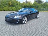 Jaguar XK 5.0 V8 Coupé - - Jaguar XK von privat