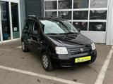 Fiat Panda 1,2 City - gebrauchte Fiat Panda aus dem Jahr 2011