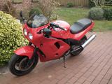 Triumph Daytona 900 - TRIUMPH DAYTONA 900