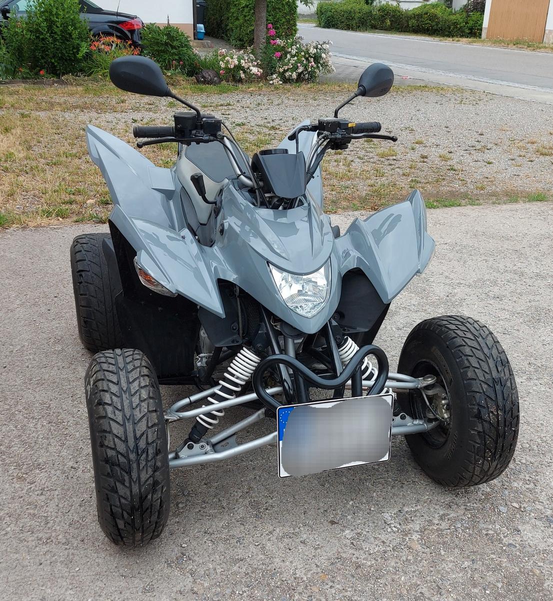Aeon Cobra 400 2012 — photo 13