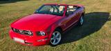 Ford Mustang mit erst 34.000 km - gebrauchte Ford Mustang aus dem Jahr 2008