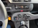 Fiat Panda Pop - Fiat Panda POP mit Benzin-Antrieb
